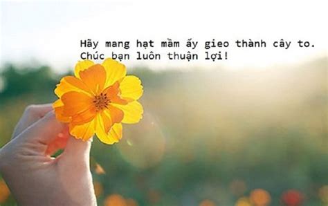Lời dịch 真爱 .